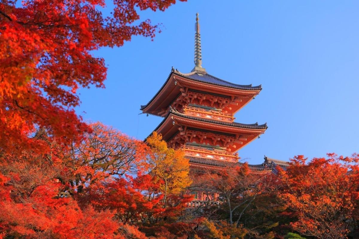 Hotel Tenjin Kyoto Buitenkant foto